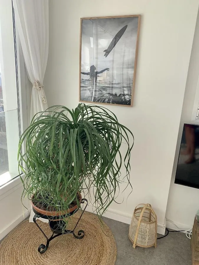 Sunset Ocean View Apartment Mit Parking 타리파